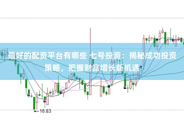 最好的配资平台有哪些 七号投资：揭秘成功投资策略，把握财富增长新机遇