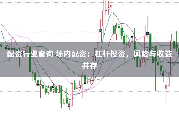 配资行业查询 场内配资：杠杆投资，风险与收益并存