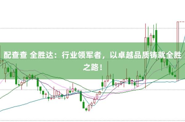 配查查 全胜达：行业领军者，以卓越品质铸就全胜之路！