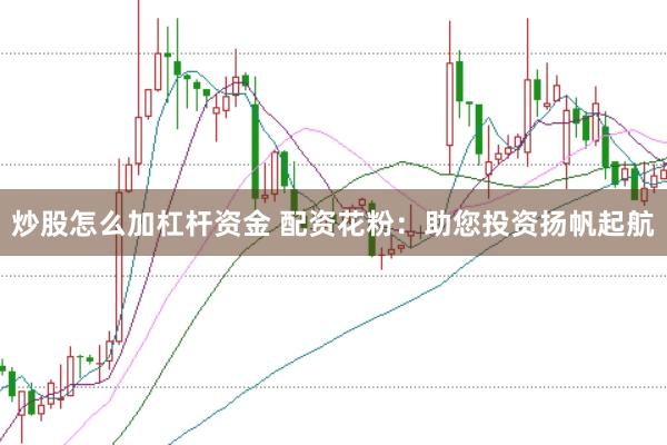 炒股怎么加杠杆资金 配资花粉：助您投资扬帆起航