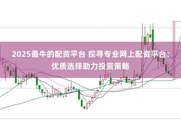 2025最牛的配资平台 探寻专业网上配资平台：优质选择助力投资策略