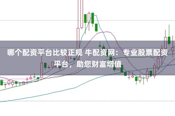 哪个配资平台比较正规 牛配资网：专业股票配资平台，助您财富增值