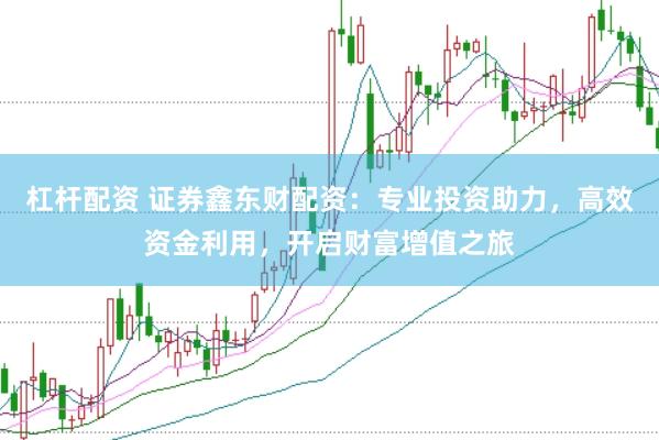 杠杆配资 证券鑫东财配资：专业投资助力，高效资金利用，开启财富增值之旅