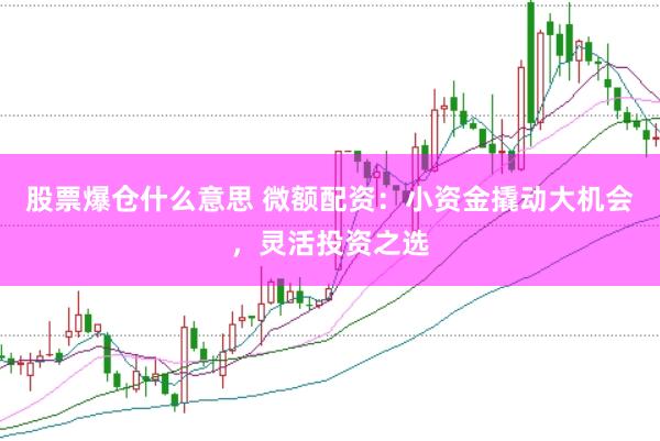 股票爆仓什么意思 微额配资：小资金撬动大机会，灵活投资之选