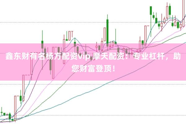鑫东财有名杨方配资vip 摩天配资：专业杠杆，助您财富登顶！