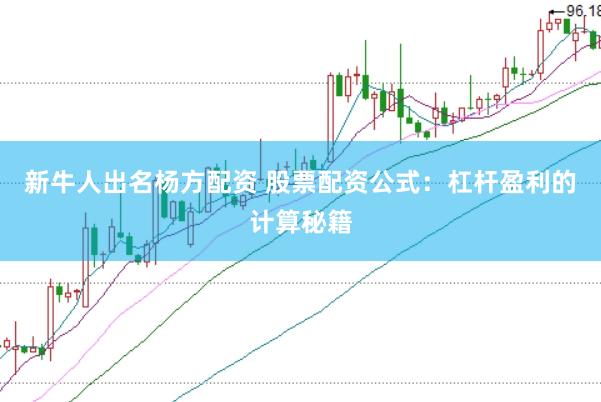 新牛人出名杨方配资 股票配资公式：杠杆盈利的计算秘籍