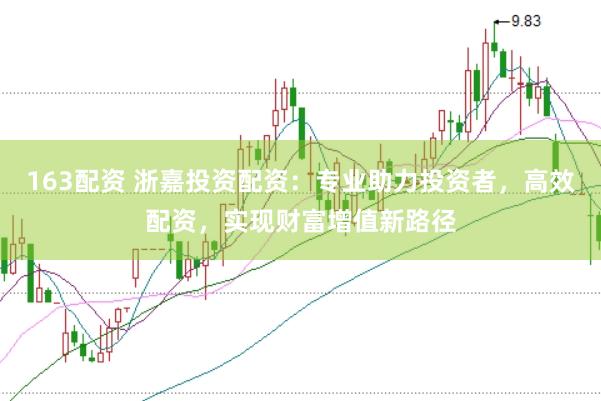 163配资 浙嘉投资配资：专业助力投资者，高效配资，实现财富增值新路径