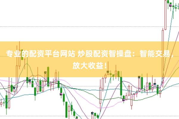 专业的配资平台网站 炒股配资智操盘：智能交易，放大收益！