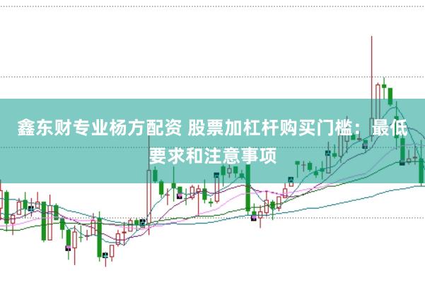 鑫东财专业杨方配资 股票加杠杆购买门槛：最低要求和注意事项