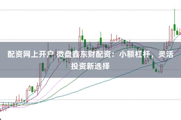配资网上开户 微盘鑫东财配资：小额杠杆，灵活投资新选择