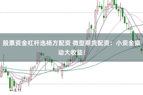 股票资金杠杆选杨方配资 微型期货配资：小资金撬动大收益！