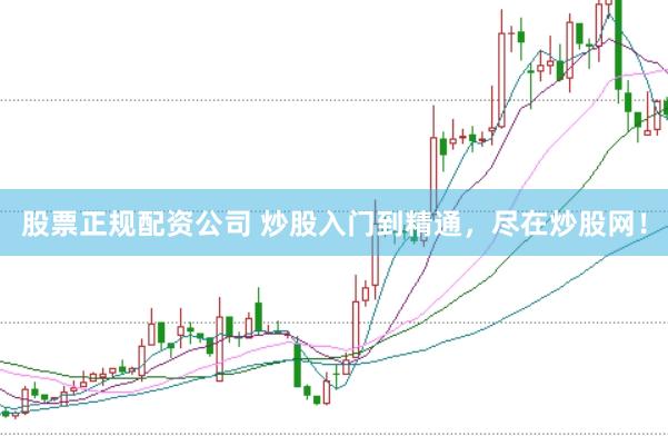 股票正规配资公司 炒股入门到精通，尽在炒股网！