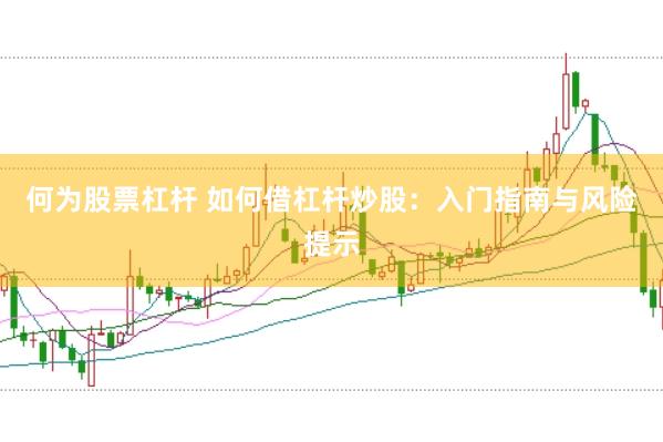 何为股票杠杆 如何借杠杆炒股：入门指南与风险提示