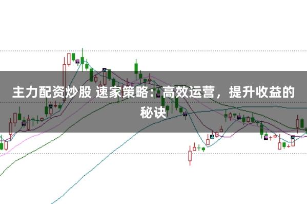 主力配资炒股 速家策略：高效运营，提升收益的秘诀