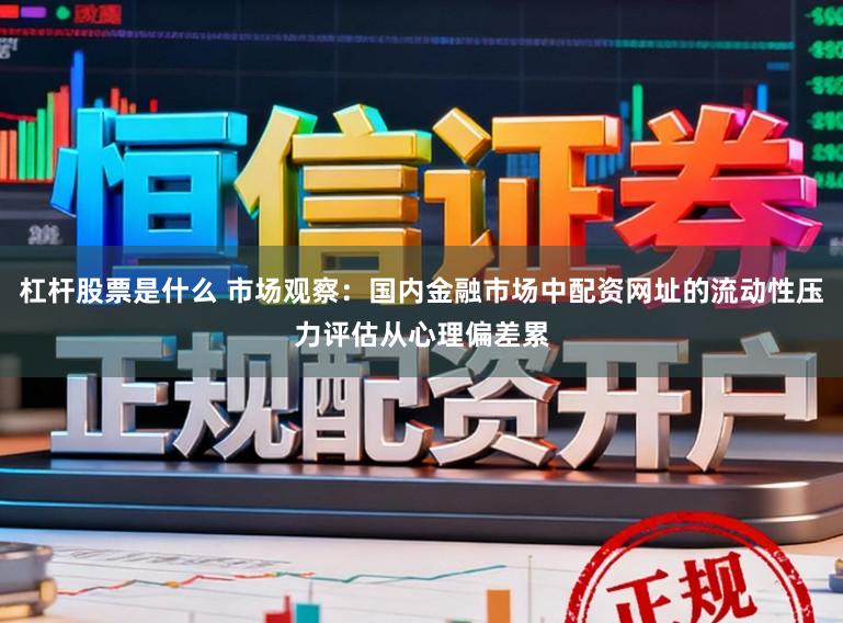 杠杆股票是什么 市场观察：国内金融市场中配资网址的流动性压力评估从心理偏差累