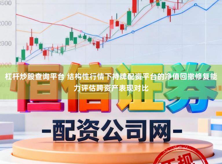 杠杆炒股查询平台 结构性行情下持牌配资平台的净值回撤修复能力评估跨资产表现对比