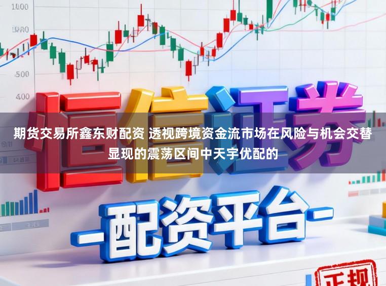 期货交易所鑫东财配资 透视跨境资金流市场在风险与机会交替显现的震荡区间中天宇优配的